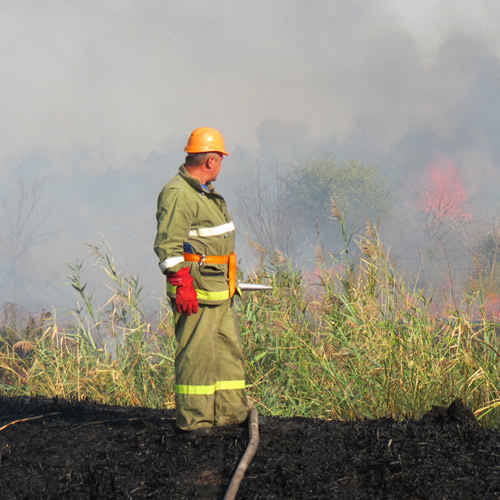 Тушение ландшафтного пожара на территории «Рабочего посёлка» п. Артём г. Шахты.
